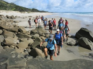 Pakiri Cliff Top Walk