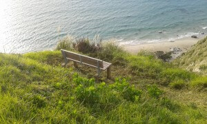 New seat on the Goldschmidt walk