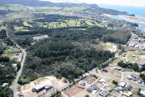 37 hectares of the Mangawhai Community Park