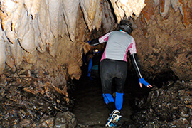 Waipu Caves