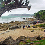 Waipu Coastal Trail