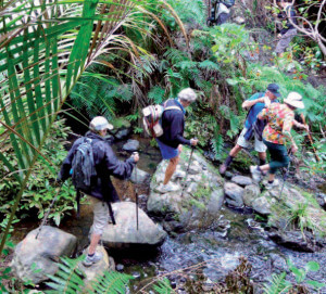 Boulder hopping on the Tanekaha walk