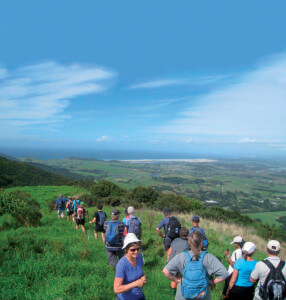 Mangawhai Ridge