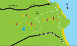 Te Arai Point walks Map