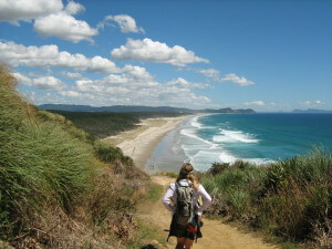 Ta Arai Headland looking north to Mangawhai