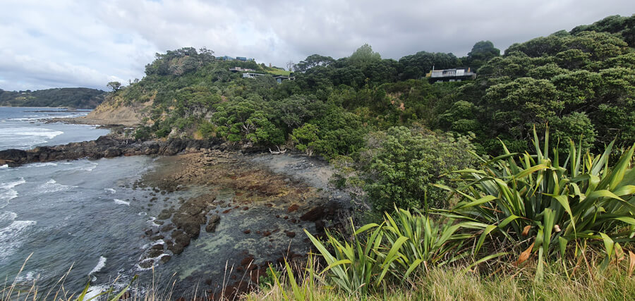 Mangawhai walking weekend 2021 Matheson bay