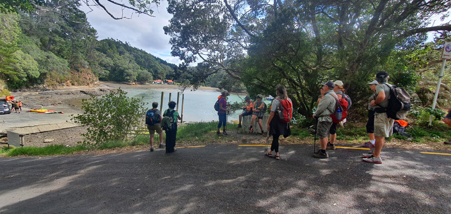 Mangawhai walking weekend 2021 Matheson bay