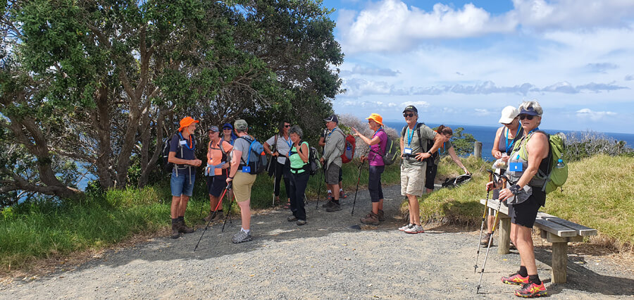 Mangawhai walking weekend 2021 Matheson bay